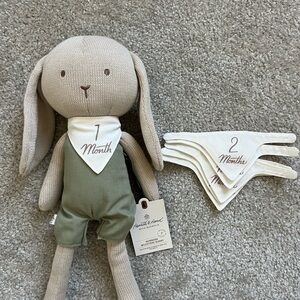 Hearth & Hand Bunny Plush Toy with Milestone Bibs - Tan and Green